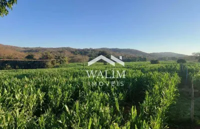 Fazenda à venda em curvelo, mg – 521 hectares de oportunidade!