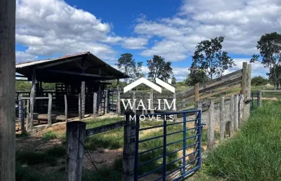 ??? fazenda de excelência à venda em curvelo/mg - oportunidade única no agro! ?? walim imóveis | 'seu lar, nossa paixão!'