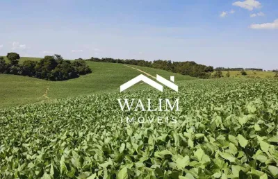 Fazenda premium em itapetininga-sp 611 alqueires | 1.478,62 hectares | r$ 280 milhões