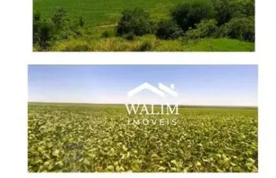 ?? oportunidade global exclusiva | fazenda premium – 10.019 ha | paraguai valor: us$ 30.000.000