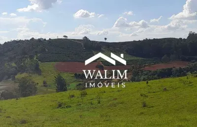 Terreno à venda, café 29,040 hectares por r$ 6.000.000 - zona rural - guapé/mg