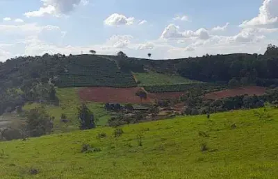 ? fazenda  cafeeira e leiteira à venda com potencial de expansão – 155 hectares | são josé da barra – mg | r$ 17 milhões