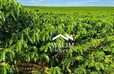 ?? fazenda de café alta produtividade à venda 78 hectares, boa esperança– porteira fechada!
