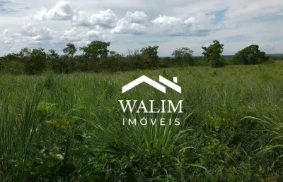 ?? oportunidade imperdível, 467 hectares – fazenda à venda em buritizeiro/mg