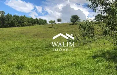?? fazenda pecuária e citros, à venda entre formiga e divinópolis – 430 hectares por r$?35.000/hectare