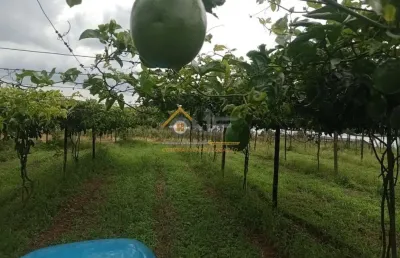 Chácara / sítio à venda no abaitinga, são miguel arcanjo  por r$ 1.150.000