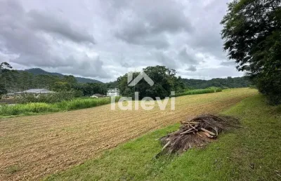 Terreno comercial à venda no ribeirão areia, pomerode  por r$ 1.100.000