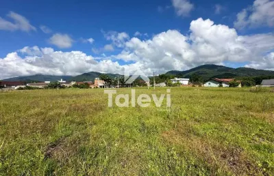 Terreno à venda no centro, rio dos cedros  por r$ 229.000