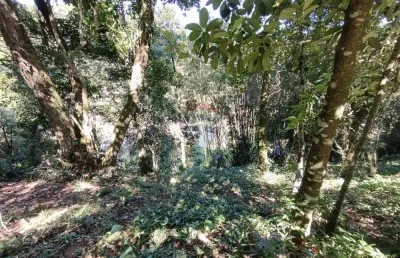 Terreno à venda na Rua Esmeraldino Salvino, 691, Centro, Guapimirim