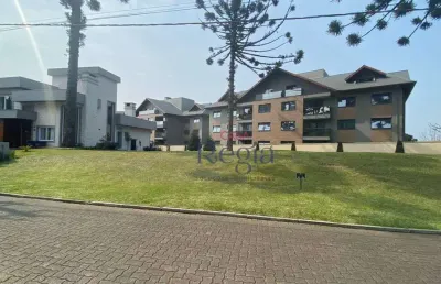 Terreno à venda, 701 m² por r$ 1.400.000,00 - centro - canela/rs