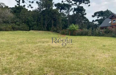 Terreno à venda, 900 m² por r$ 2.100.000,00 - centro - canela/rs