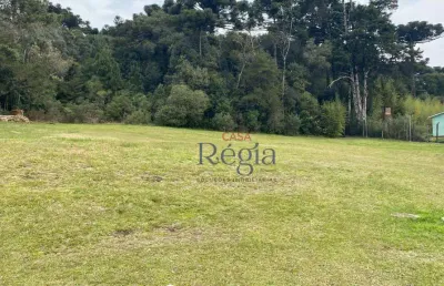 Terreno à venda, 1975 m² por r$ 3.000.000,00 - centro - canela/rs