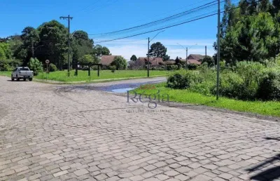 Terreno à venda, 767 m² por r$ 1.900.000 - vila luiza - canela/rs
