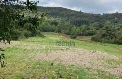 Sítio à venda, 58000 m² por r$ 2.204.000 - carazal - gramado/rs