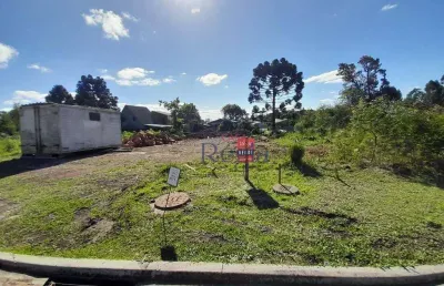 Terreno a venda no bairro eugênio ferreira em canela!
