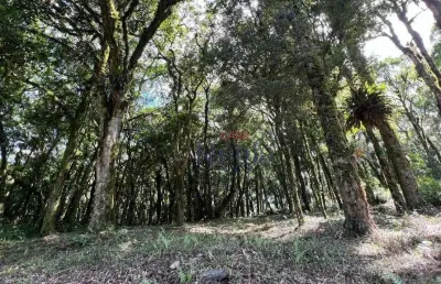 Terreno a venda no residencial pinheiro grosso em canela/rs!