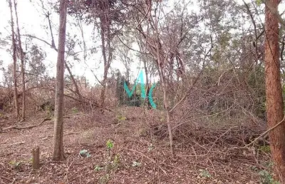 Área para alugar, 2400 m² por r$ 11.830,00/mês - campo grande - rio de janeiro/rj