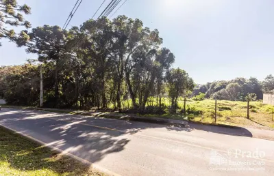 Terreno à venda, 6.972 m² privativos  del rey, são josé dos pinhais, pr