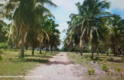 Fazenda para venda em extremoz, capim -extremoz, 3 dormitórios, 1 suíte, 2 banheiros, 6 vagas