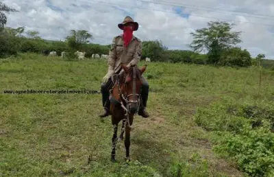Fazenda à venda na Rua São Pedro, s/n, Potengi, Natal