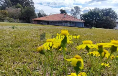 Chácara à venda, jardim carvalho, ponta grossa - pr