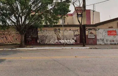 Terreno à venda, 3620 m² por r$18.000.000 - parque da mooca - são paulo/sp