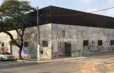 Galpão para alugar, 3300 m² por r$ 130.348,92/mês - cambuci - são paulo/sp