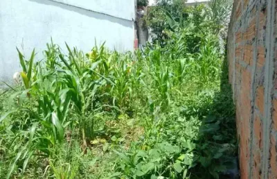 Terreno à venda na Vila Urupês, Suzano 