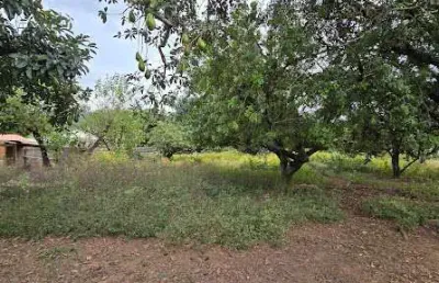 Terrenos planos à venda - jardim dos pinheiros - atibaia/sp