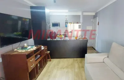 Apartamento de 72m² com 3 quartos em vila isolina mazzei