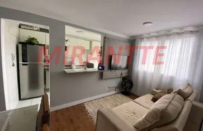 Apartamento de 50m² com 2 quartos em parque novo mundo