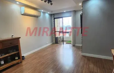 Apartamento de 79m² com 3 quartos em vila guilherme