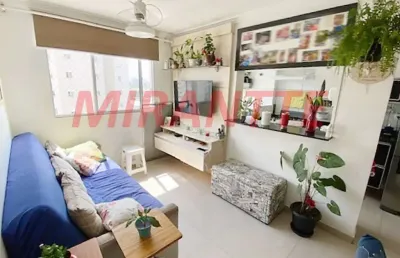 Apartamento de 54m² com 2 quartos em parque novo mundo