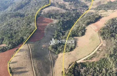 Terreno à venda, 209000 m² por r$ 1.500.000,00 - ouro fino de baixo - campo magro/pr