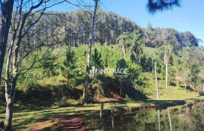 Terreno à venda, 1 m² por r$ 3.500.000 - campo largo - campo largo/paraná