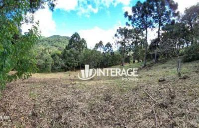 Terreno à venda, 2817 m² por r$ 230.000,00 - campo magro - campo magro/pr
