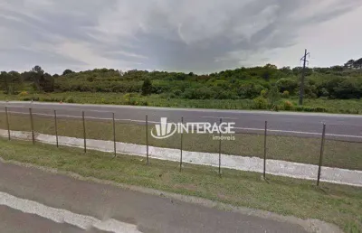Área à venda, 396087 m² por r$ 14.000.000,00 - borda do campo - são josé dos pinhais/pr