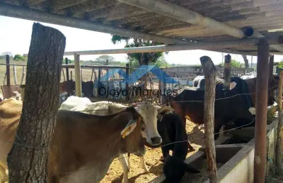 Fazenda à venda na Traíras, Traíras, Macaíba