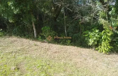 Terreno a 50 mts da br 476 - mariental - lapa - pr - r  160.000,00