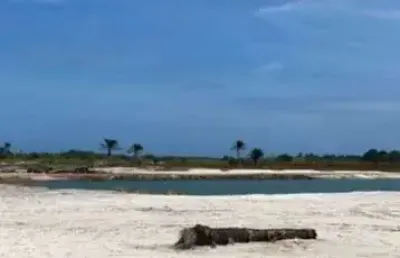 Terreno residencial para venda no condomínio vila prime, barra grande, 550,00 m² área total.