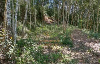 Oportunidade! área excelente com 27.000m² em nazaré paulista - sp  ar00078