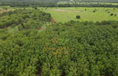 Excelente fazenda em  lagoa da confusão - tocantins fa00139