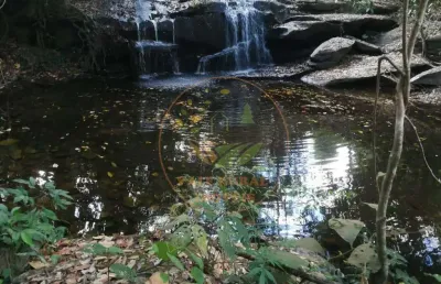 Linda fazenda de 94 alqueires município de santa bárbara de goiás fa00138