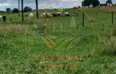 Ótima fazenda de 190 alqueires em caldas novas go! fa00131