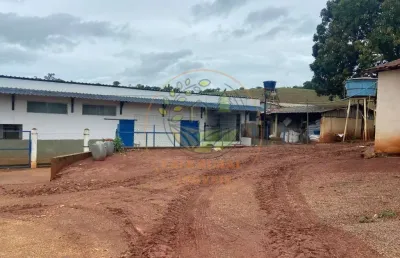 Fazenda de 47 hectares á venda em minas gerais - fa00125