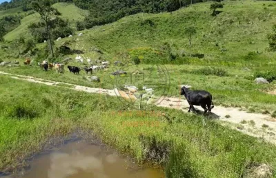 Incrível fazenda com nascentes e água cristalina no rj - fa00121