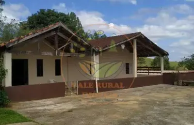 Lindíssimo sítio com 10.000,00 pés de eucalipto em sjc - st00130