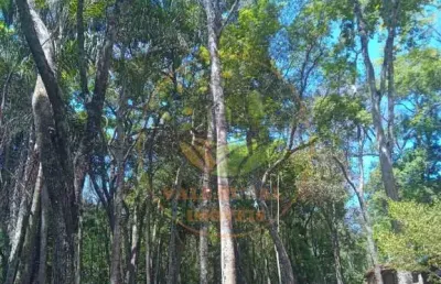 Sítio maravilhoso em conceição do rio verde com diversas belezas naturais.