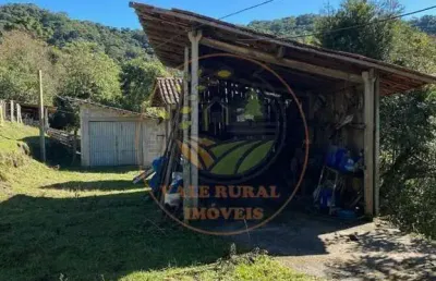 Raridade ! área escriturada de 46.000 m² com pasto formado, galpão, nascente e muitas benfeitorias! ar00061