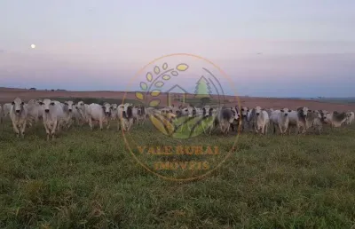 Raridade! maravilhosa fazenda de 1.172 alqueires com fábrica de ração e pista de pouso em sp! fa00102
